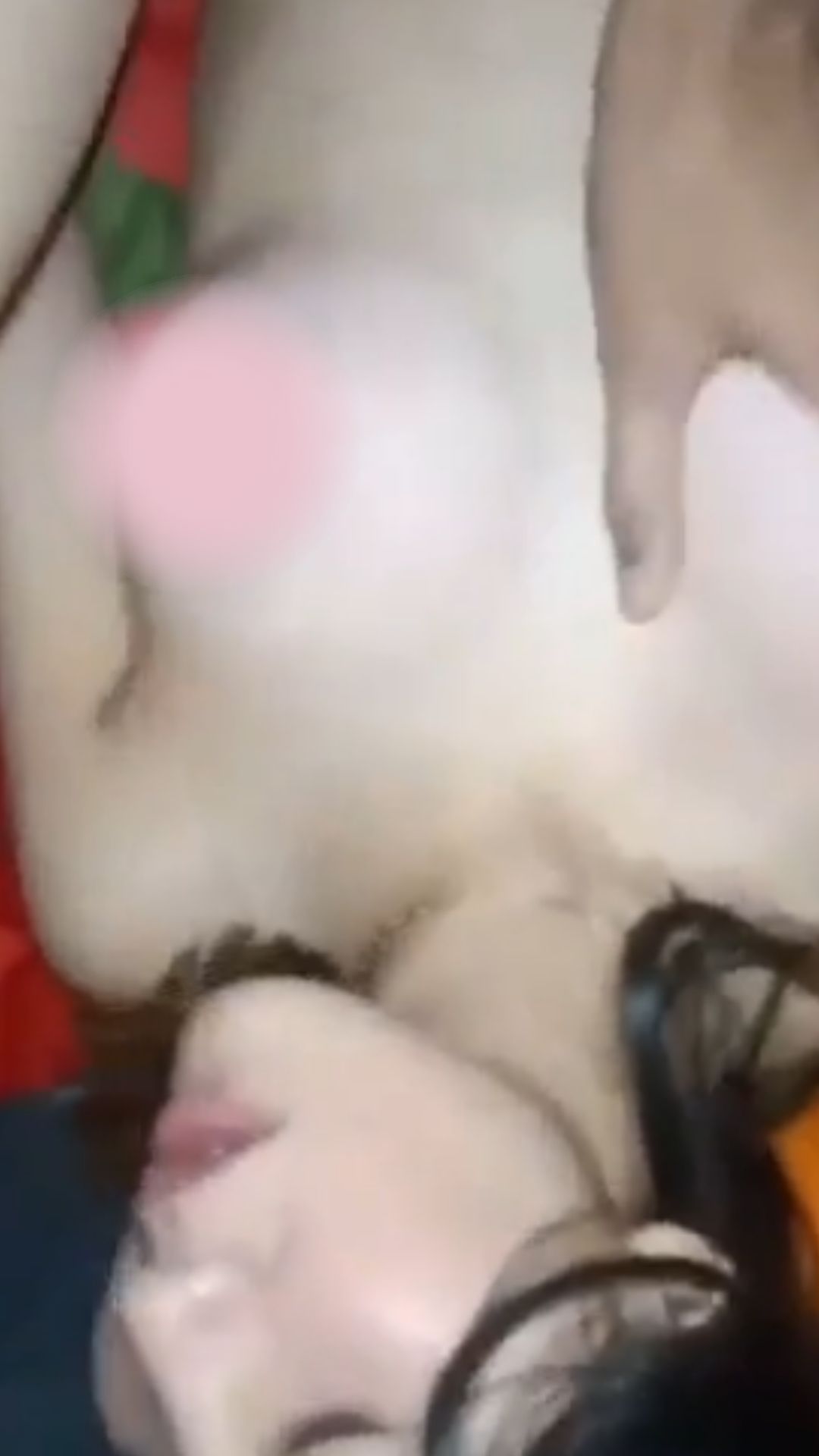 doggy